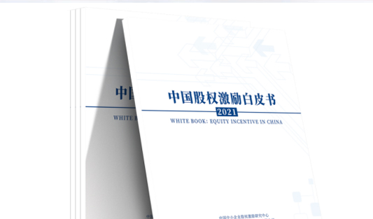 多家媒體聯(lián)合發(fā)布 | 聚焦華一世紀(jì)2021年中國股權(quán)激勵白皮書
